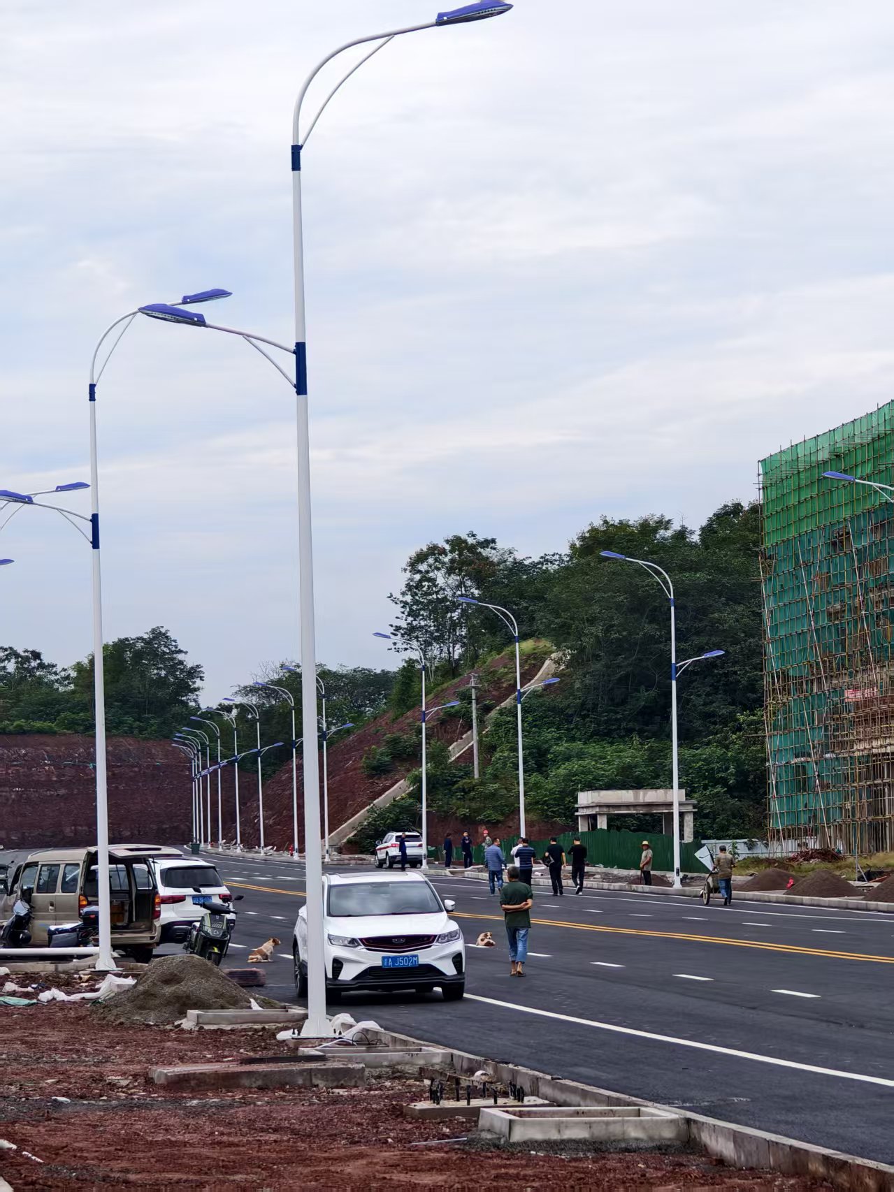 广安武胜江北新区10米高低臂路灯